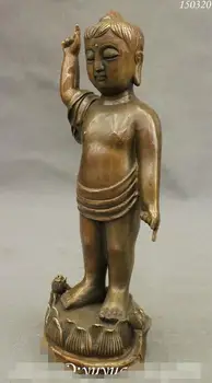 Kinijos Budizmo Vario Ir Bronzos Vaikas Vaikui Lotus Tibeto Shakyamuni Budos Statula