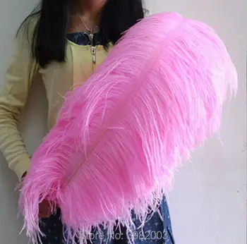 Wholasale 50pcs/daug Elegantiška rausvos spalvos, stručių plunksnų 55-60cm amatų vestuves prekių Karnavalo šokėjas apdailos plumages